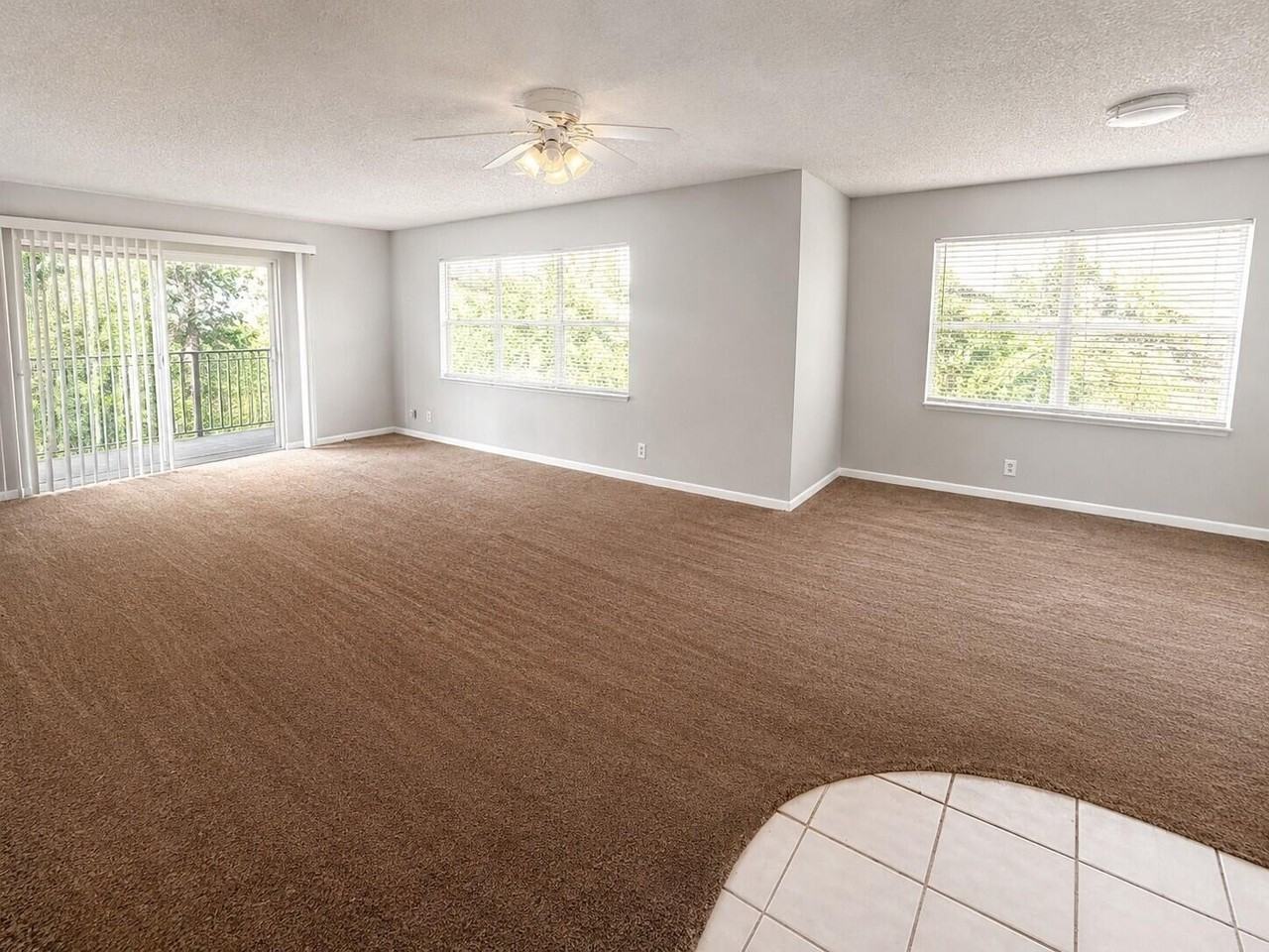 3360 Spanish Moss Ter #313 - Photo 5 of 15