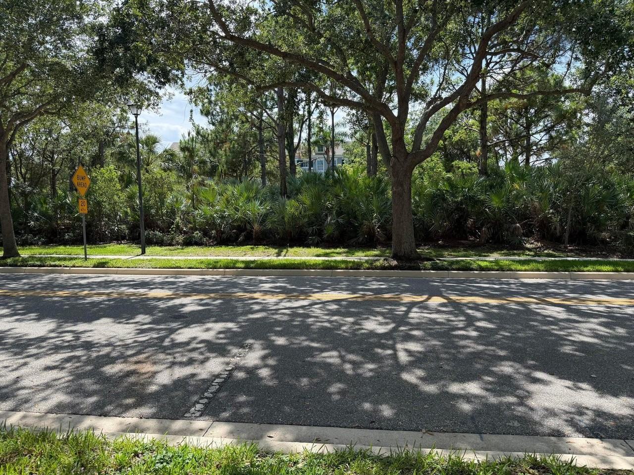 241 E Thatch Palm Cir - Photo 4 of 10