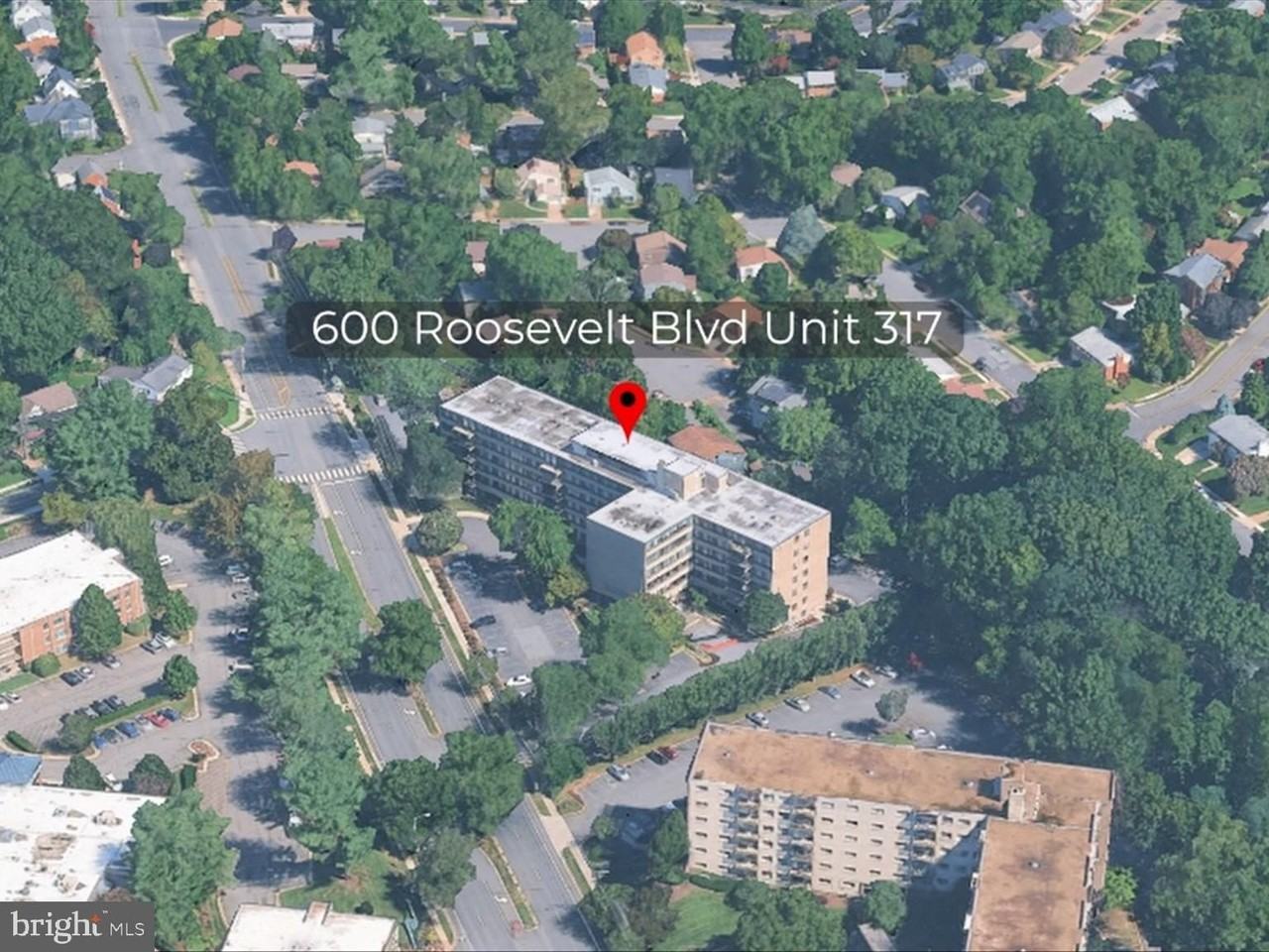 600 Roosevelt Blvd #317 - Photo 6 of 32