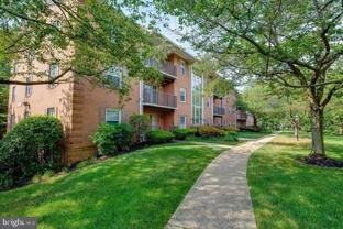 3336 Spring Ln #A34 - Photo 1 of 1