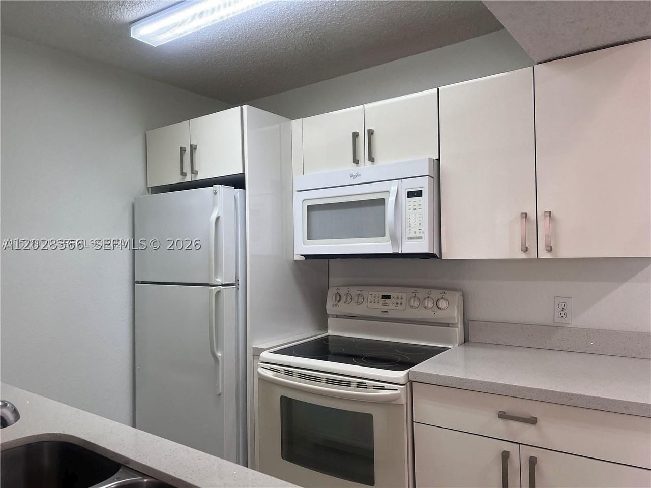 10441 Sw 156th Ct #425 - Photo 3 of 14