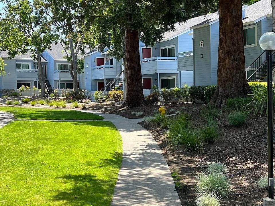 395 Ano Nuevo Ave - Photo 6 of 19