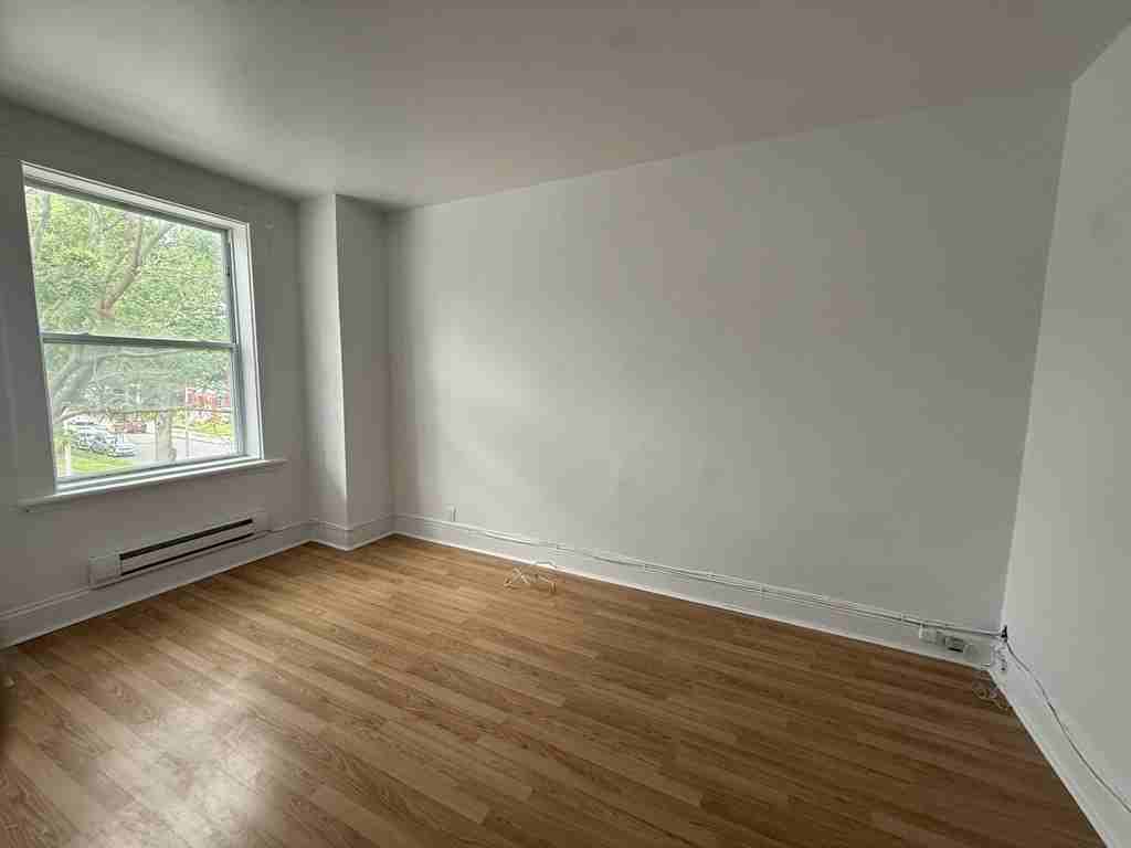 91 89-91 Lower Charlotte Street2-89 #2-89 - Photo 2 of 10