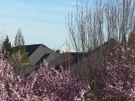 featured image of 774 Se Fairwinds Loop