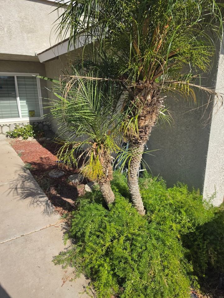 668 Kesha Ct - Photo 2 of 6