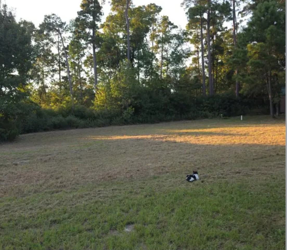 146 Navaho Trail - Photo 3 of 8