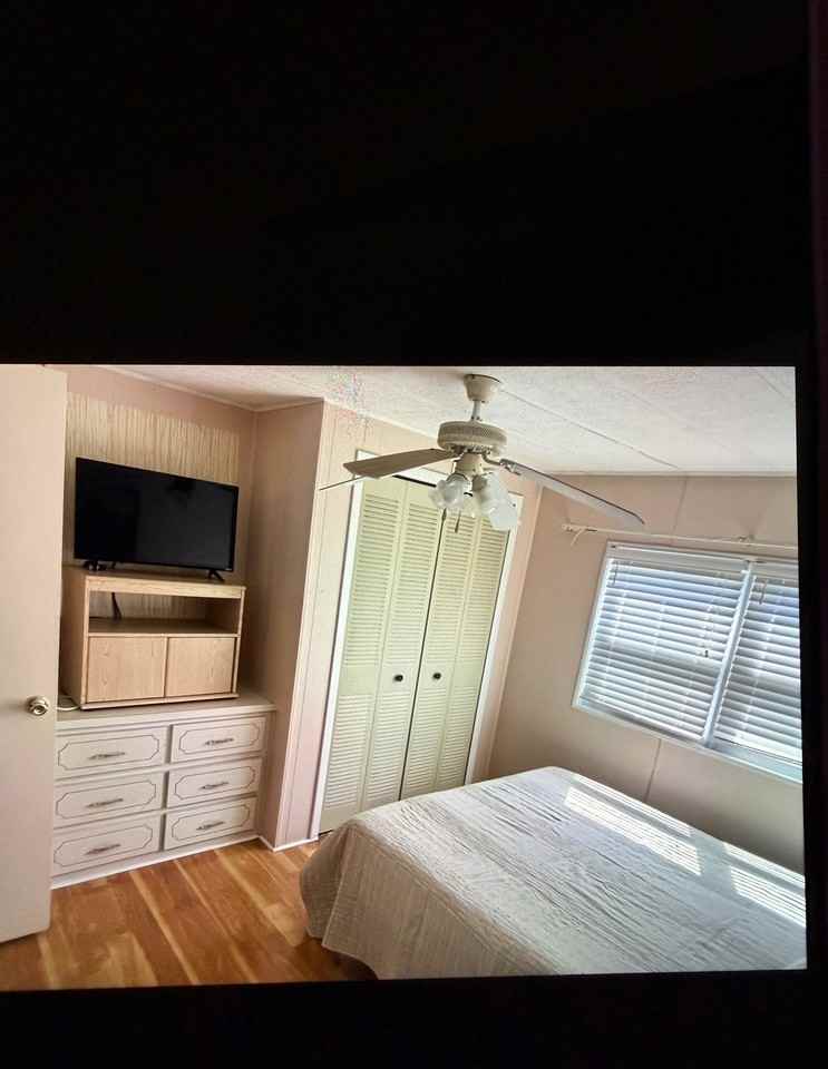 469 Needle Palm St - Photo 5 of 8