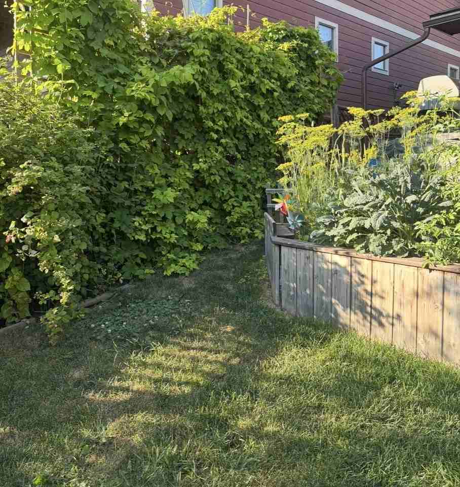 4923 22 Ave Nw - Photo 5 of 13