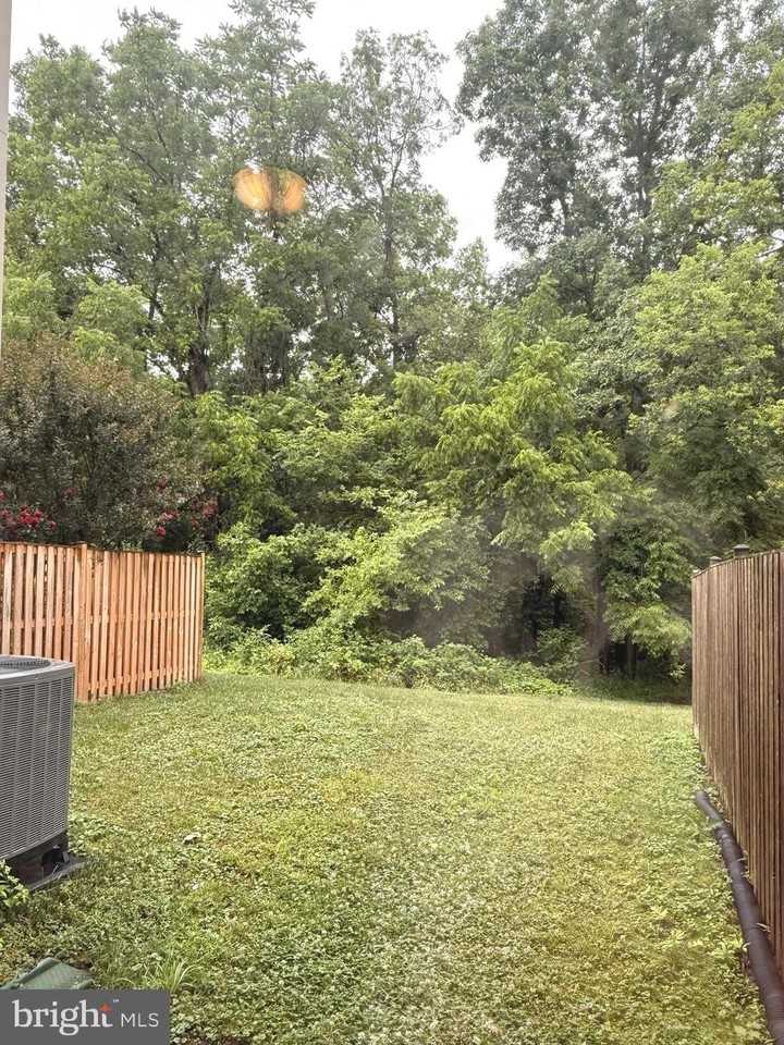 14170 Catbird Dr - Photo 5 of 19
