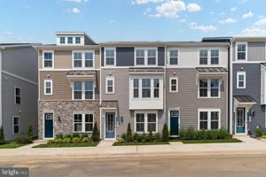 featured image of Forkleaf Oak Dr