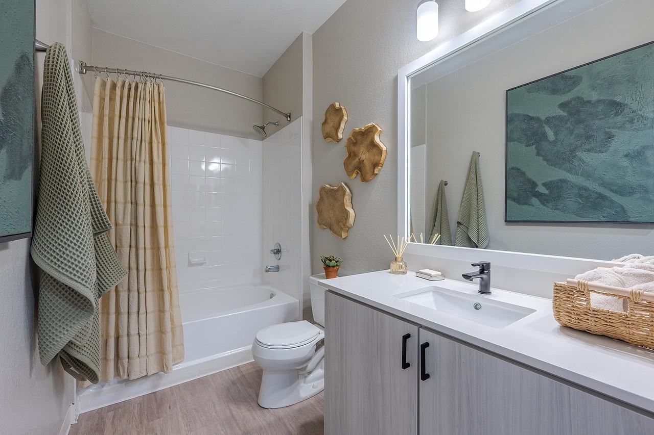 Bristol Village Apartments - Photo 6 of 45
