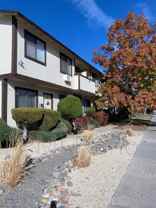 1015 Locust St #C - Photo 1 of 1