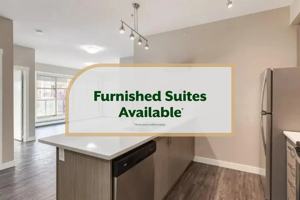 featured image of 1104 Windermere Way Sw