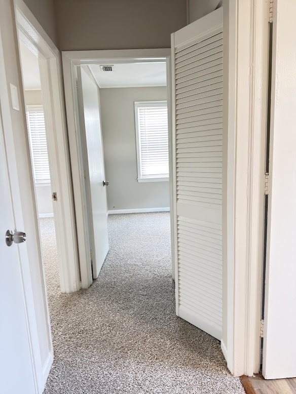 1701 Williams St #C - Photo 7 of 11