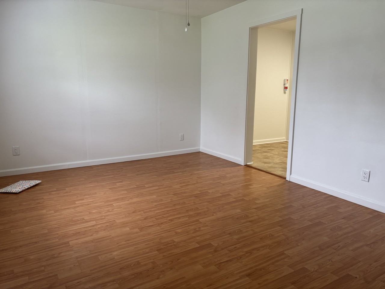 733 W Pennsylvania Ave #1 - Photo 3 of 21