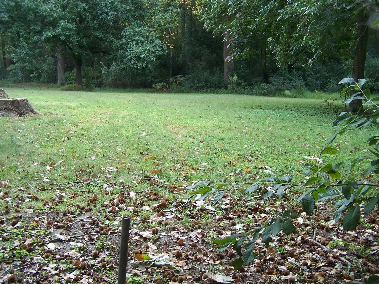 113 Ponds Ln - Photo 6 of 9