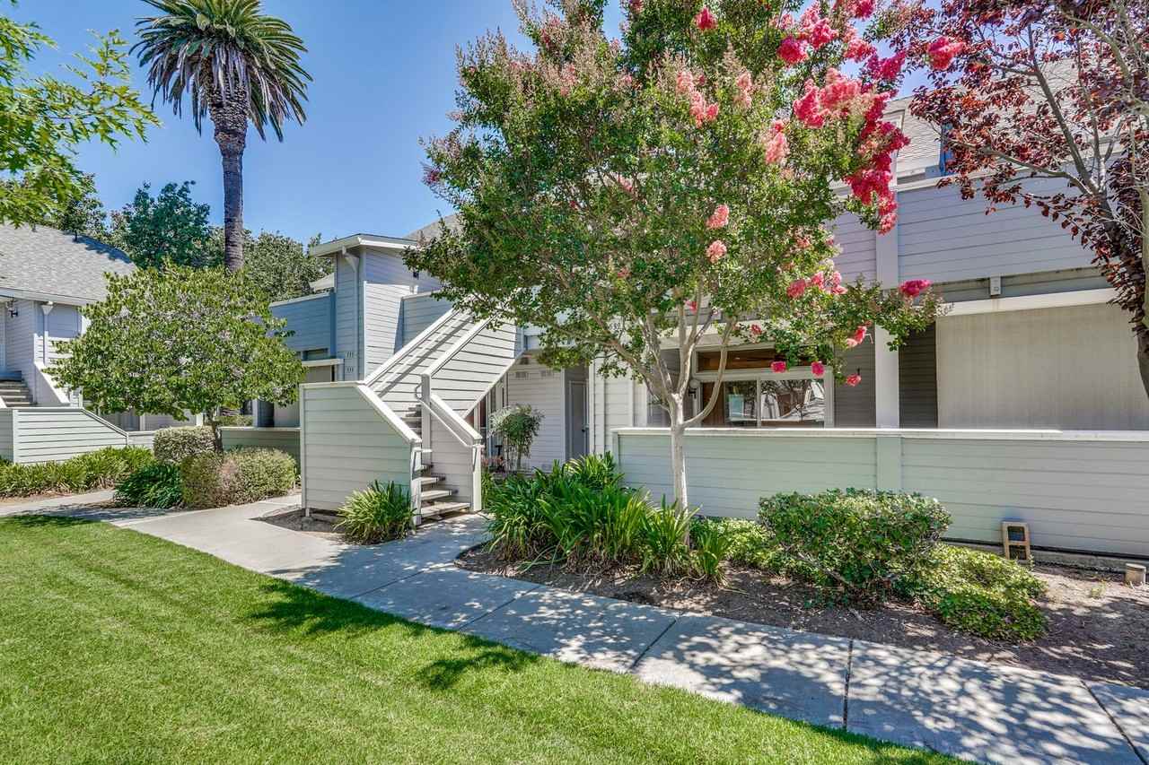 537 Shadow Dance Dr - Photo 2 of 36
