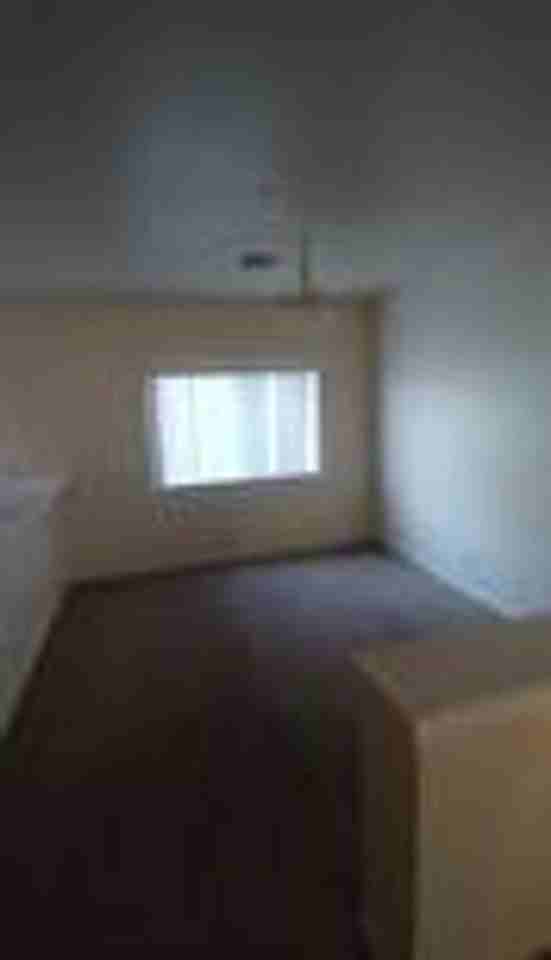 3446 Dry Gulch Dr - Photo 4 of 19