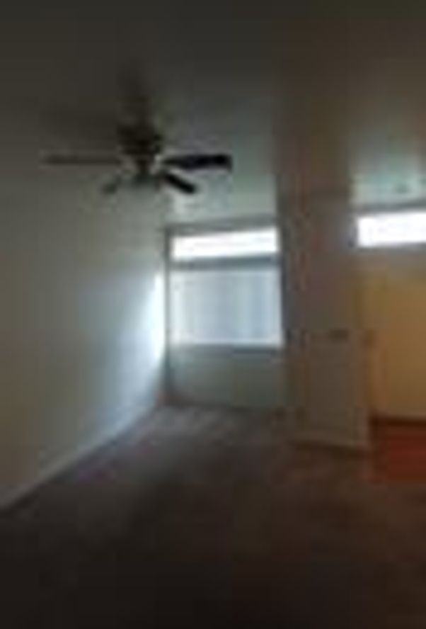 3446 Dry Gulch Dr - Photo 6 of 19