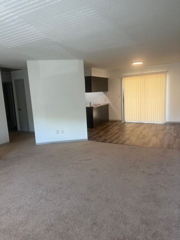 431 Maple Grove Way - Photo 4 of 21