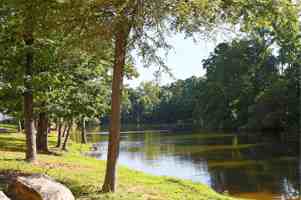 featured image of 315 Flint Hill Rd