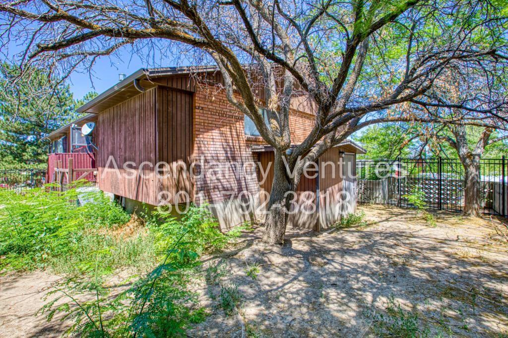 706 Buzianis Way - Photo 4 of 22