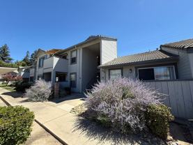 3901 Dale Rd #B - Photo 1 of 1