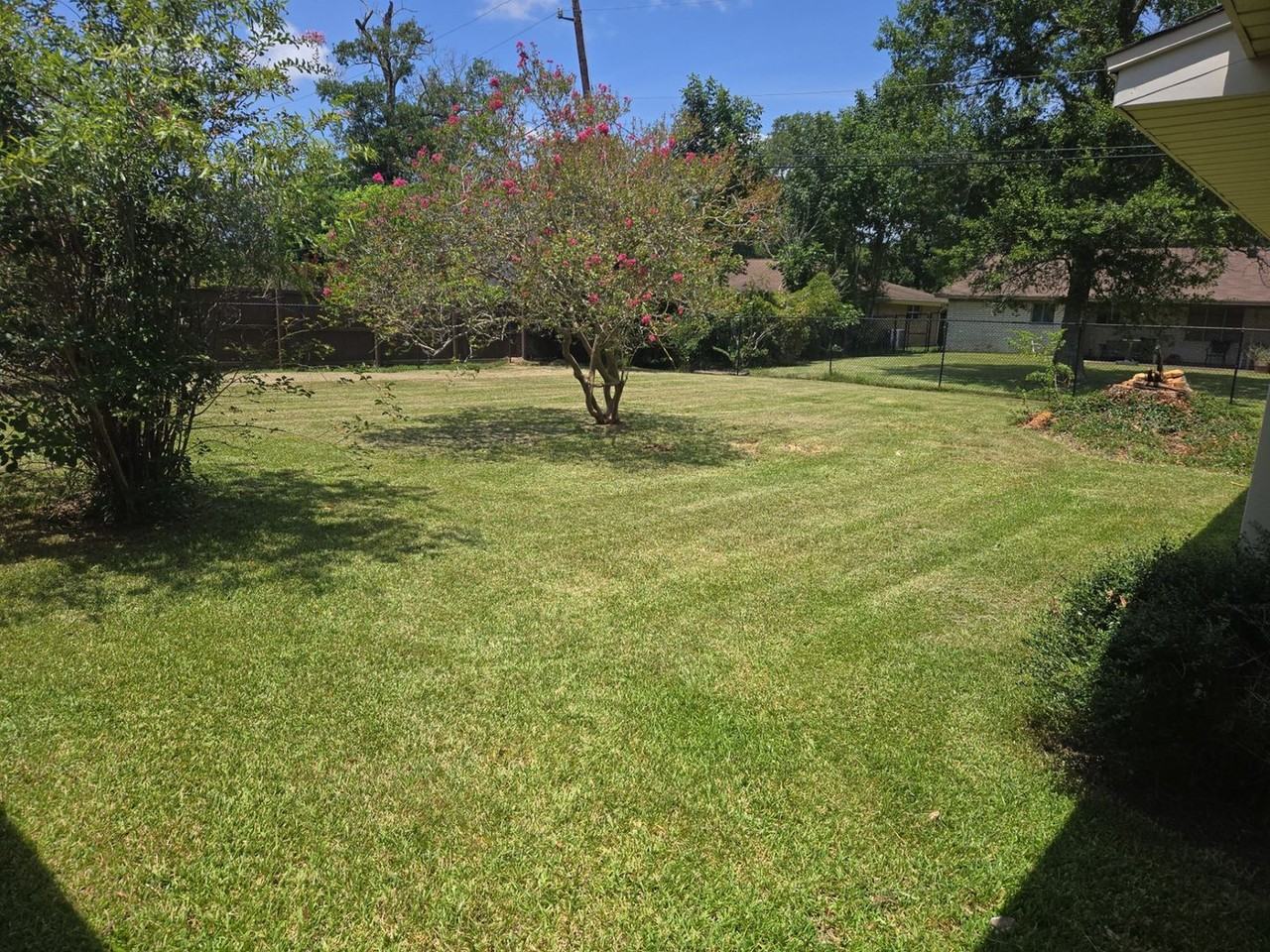 6510 Daisy Dr - Photo 3 of 31