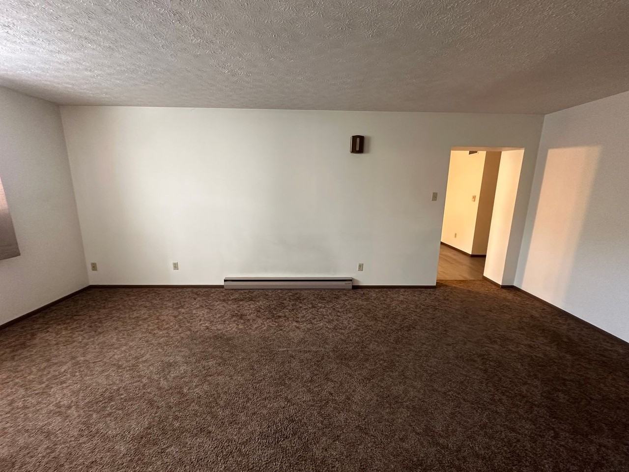 old459 - Photo 2 of 20