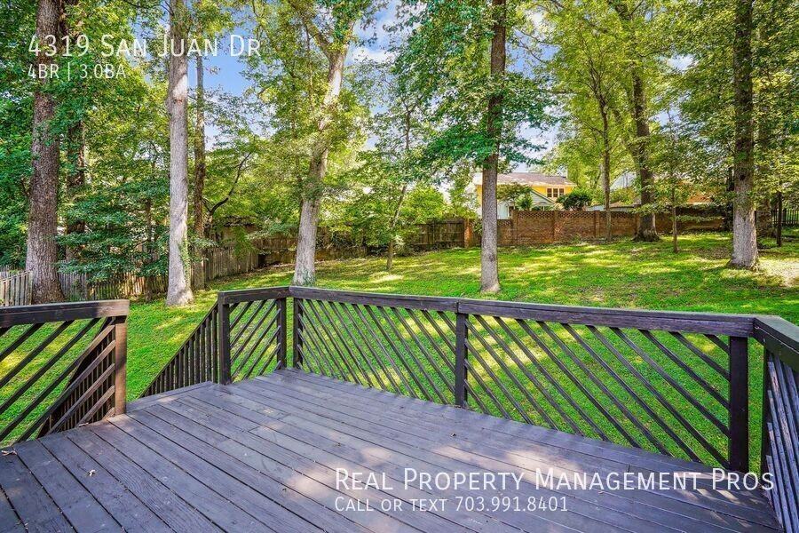 4319 San Juan Dr - Photo 3 of 50