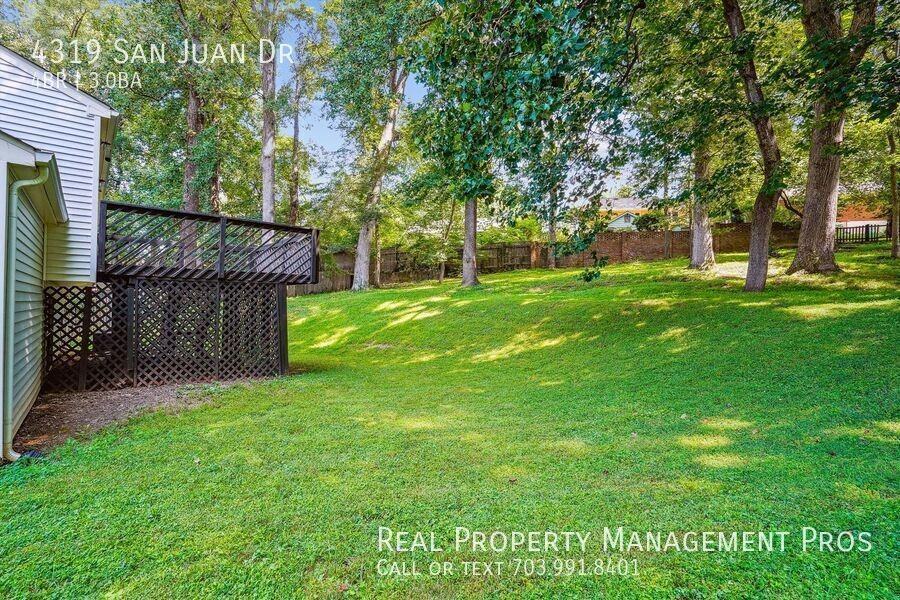 4319 San Juan Dr - Photo 4 of 50