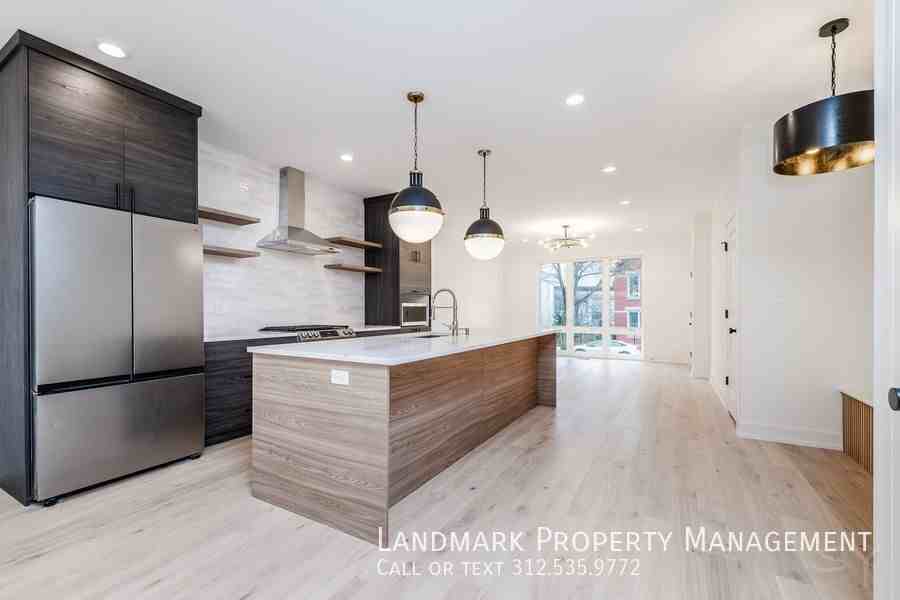 1726 W Cullerton St #1 - Photo 2 of 43