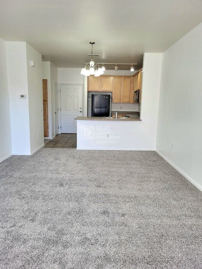 8420 Canyon Rim Trl #204 - Photo 4 of 16