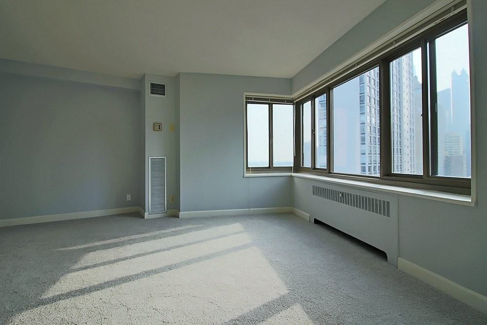 1357 N Lake Shore Dr - Photo 2 of 11