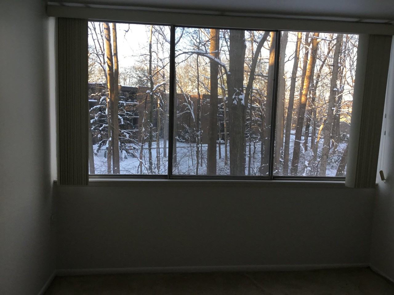 4410 Briarwood Ct N #9 - Photo 3 of 7