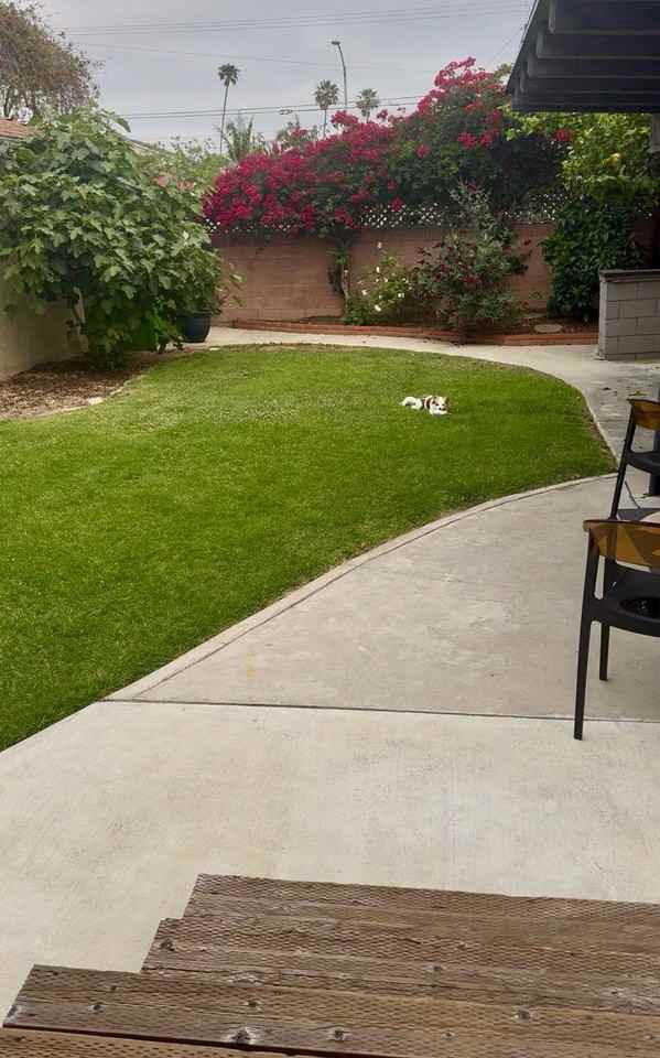 7822 Flight Ave #1-2 - Photo 2 of 8