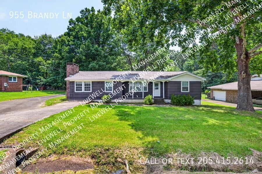955 Brandy Ln - Photo 3 of 17