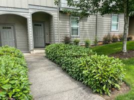 featured image of 1951 Madras St Se