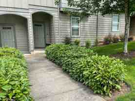 1951 Madras St Se - Photo 1 of 1