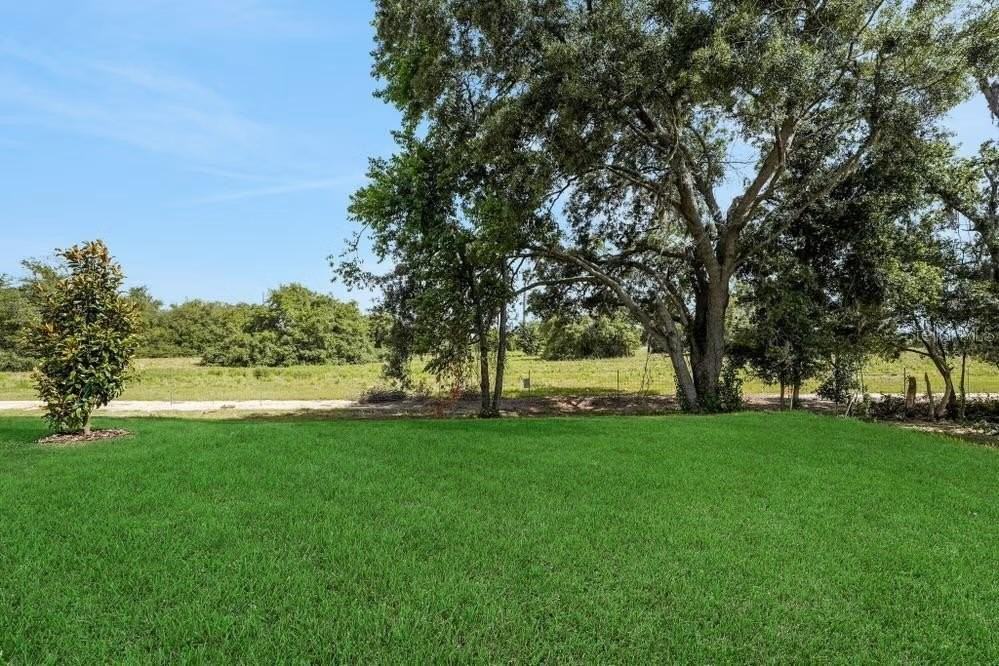 15075 Tea Tree Dr - Photo 6 of 38