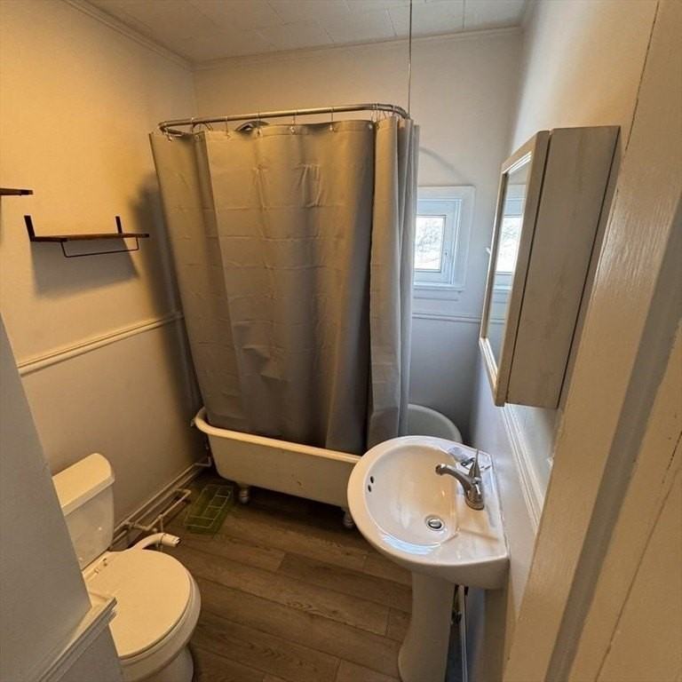 230 Mechanic St #3 - Photo 5 of 11