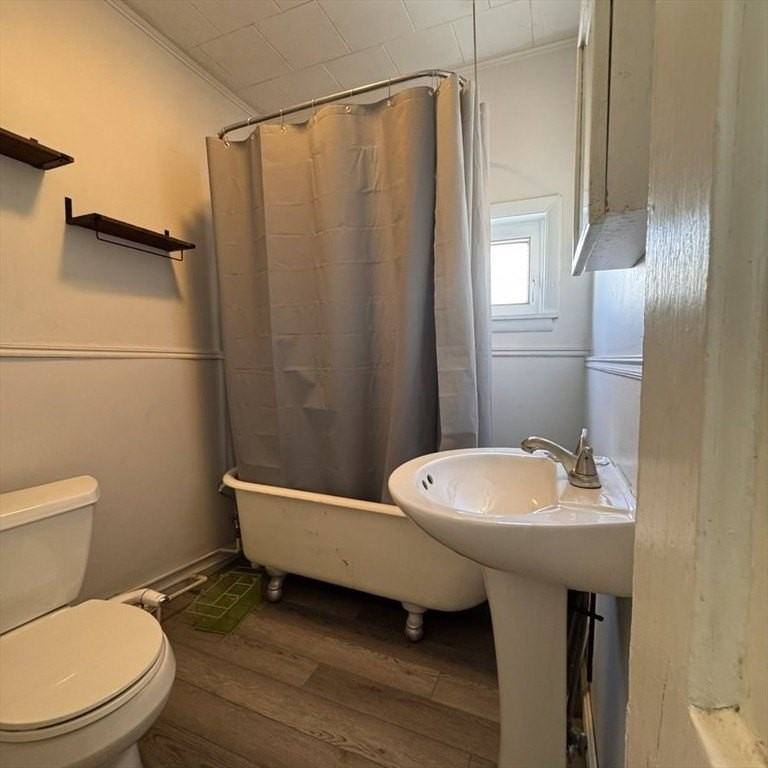 230 Mechanic St #3 - Photo 7 of 11