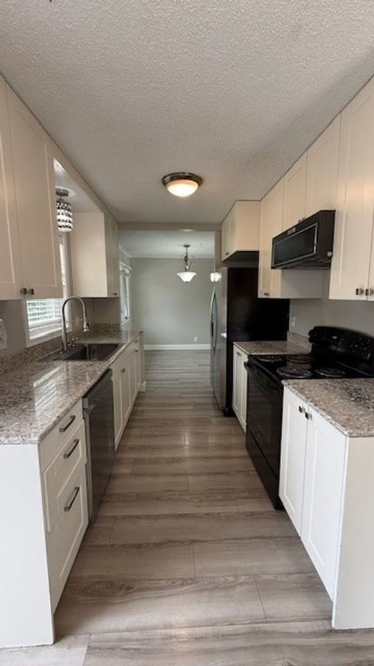 8442 Haeg Dr - Photo 5 of 21