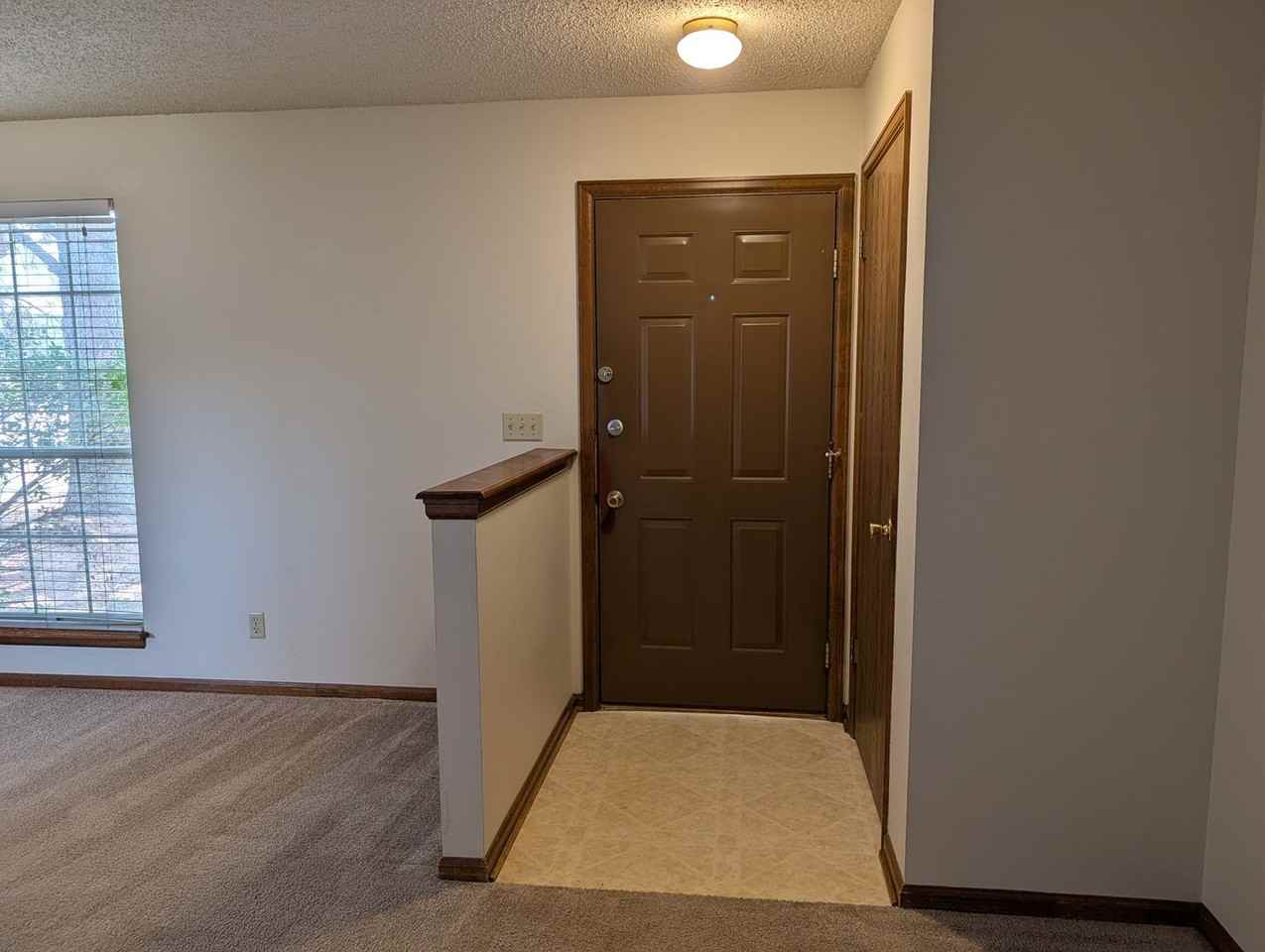 3028 Deliverance Dr - Photo 3 of 23