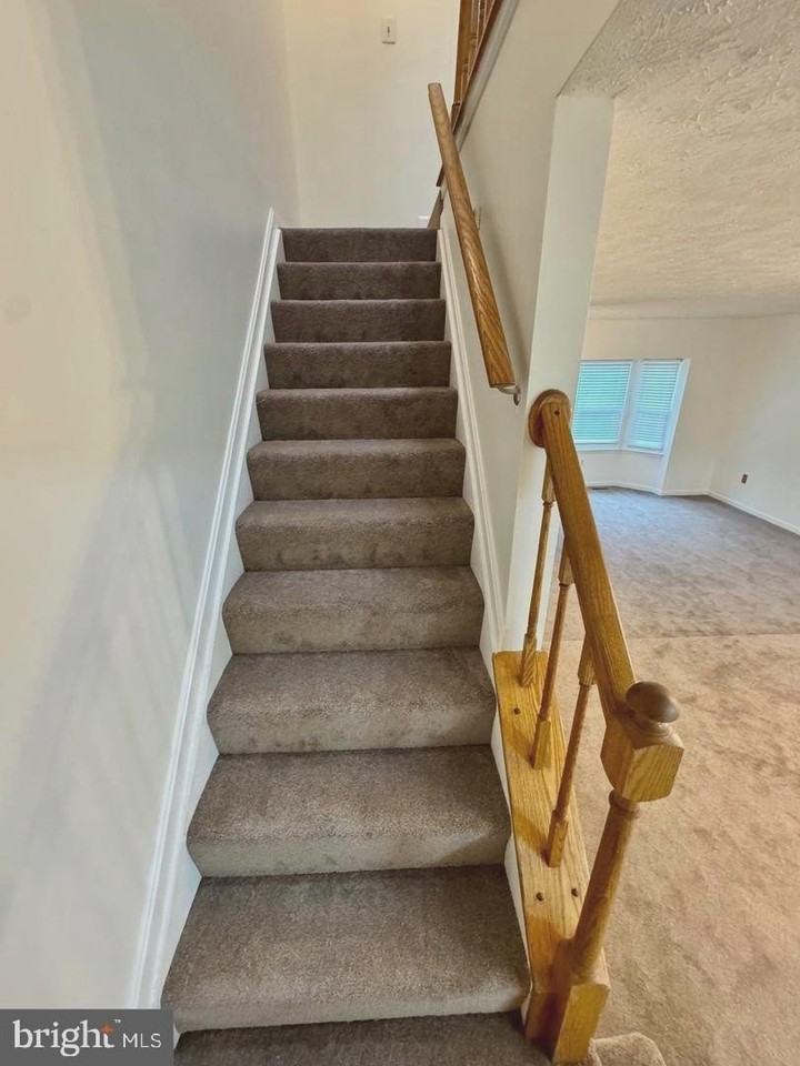 7719 Ora Ct - Photo 7 of 23