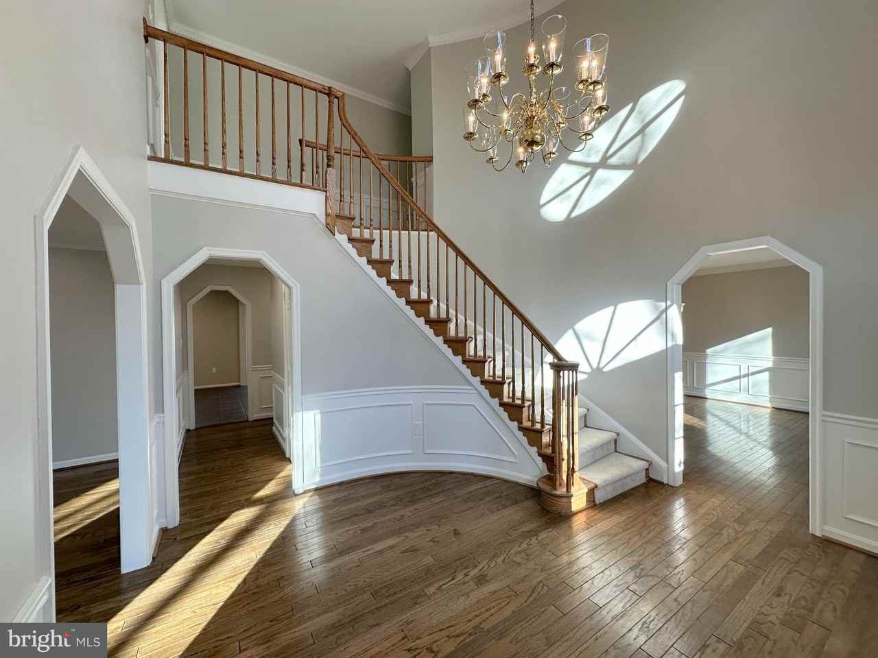 11560 Holly Briar Ln - Photo 3 of 50