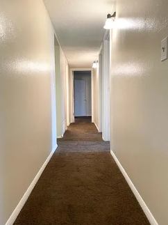 6201 Garden Rd - Photo 4 of 9