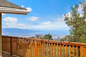 featured image of 31 Hapapa Rd #B