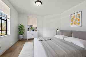 featured image of Pippin St #1