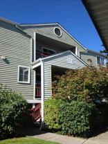 5300 Harbour Pointe Blvd #311F - Photo 1 of 1